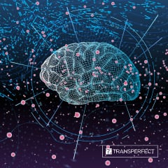 TransPerfect Machine Translation Competition